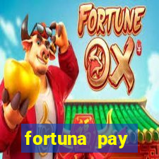 fortuna pay consultoria financeira ltda